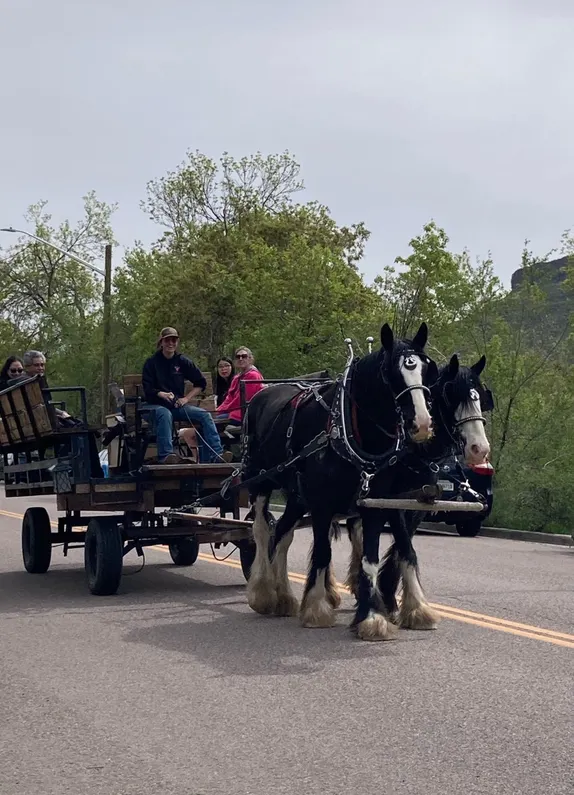 History & Horses