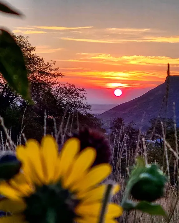 What's Happening in Golden - Thursday, Jun. 20th, 2024