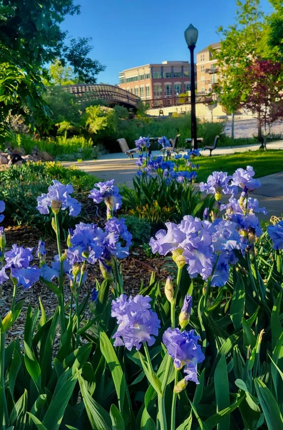 What's Happening in Golden - Saturday, Jun. 1st, 2024