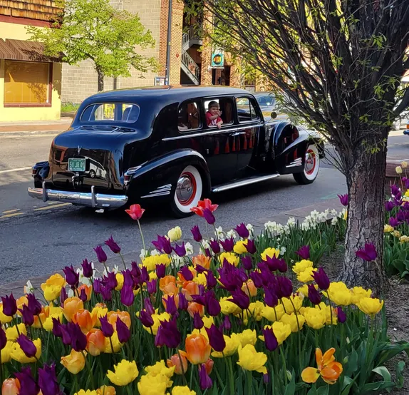 5-8:30PM Golden Super Cruise