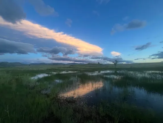 What's Happening in Golden - Thursday, Jun. 6th, 2024