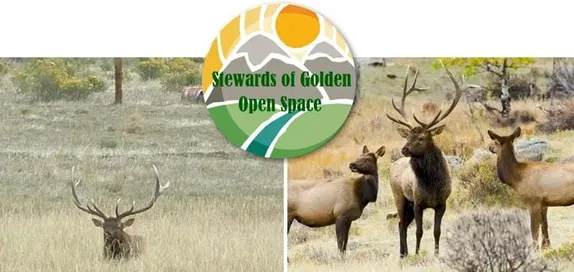 6PM Wildlife Walk