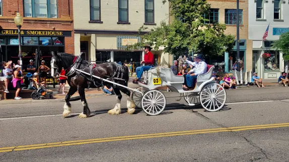 Clydesdale pulling a white carriage holding Buffalo Bill parade Grand Marshal Steve Friesen