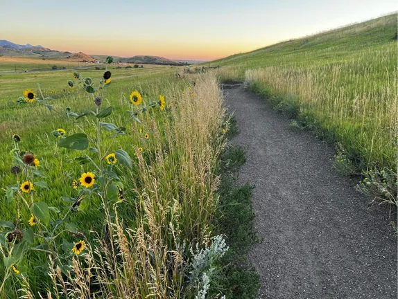 What's Happening in Golden - Saturday, Aug. 10th, 2024