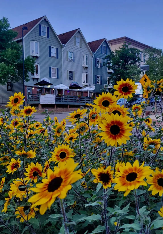 What's Happening in Golden - Wednesday, Aug. 28th, 2024