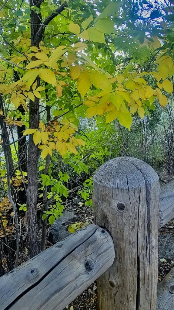 What's Happening in Golden - Thursday, Sep. 26th, 2024