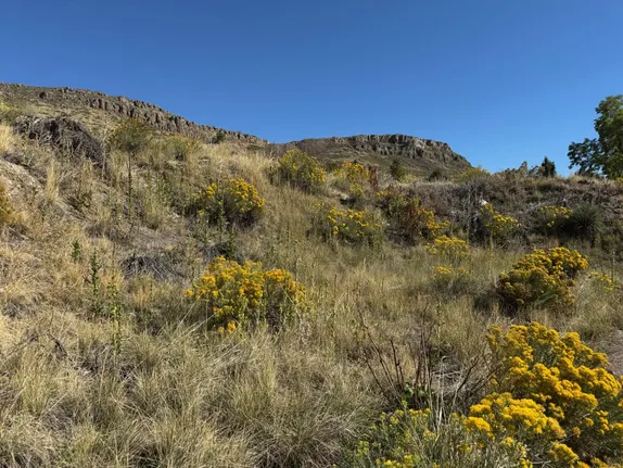 What's Happening in Golden - Friday, Sep. 27th, 2024