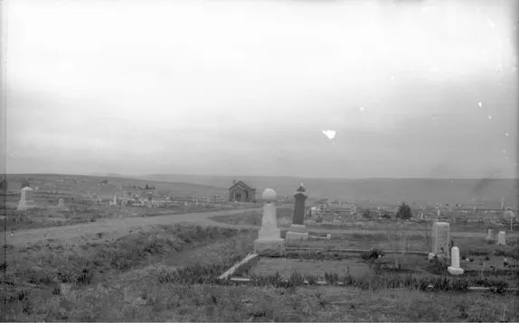Cemetery/Arboretum