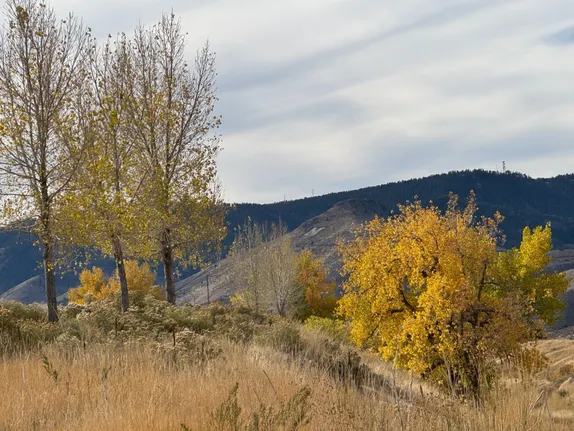 What's Happening in Golden - Tuesday, Oct. 29th, 2024