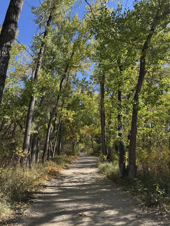 What's Happening in Golden - Thursday, Oct. 24th, 2024