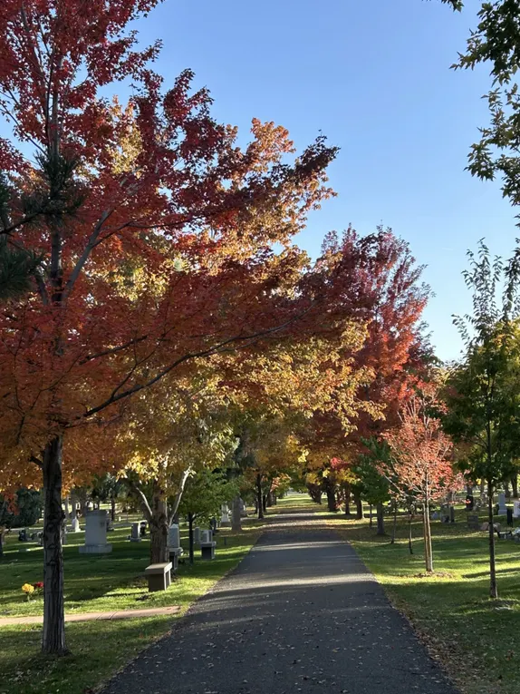 What's Happening in Golden - Monday, Oct. 28th, 2024