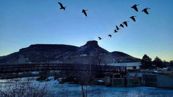 What's Happening in Golden - Friday, Nov. 8th, 2024