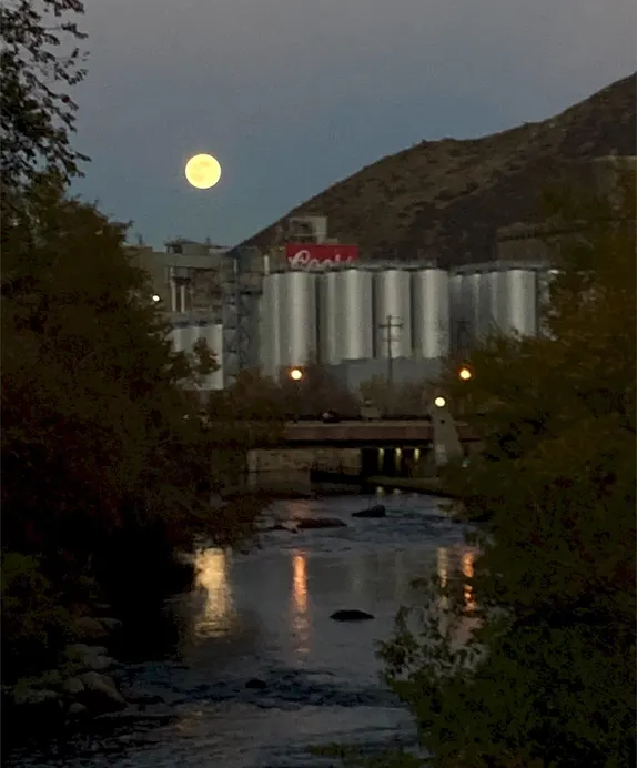 What's Happening in Golden - Saturday, Nov. 16th, 2024