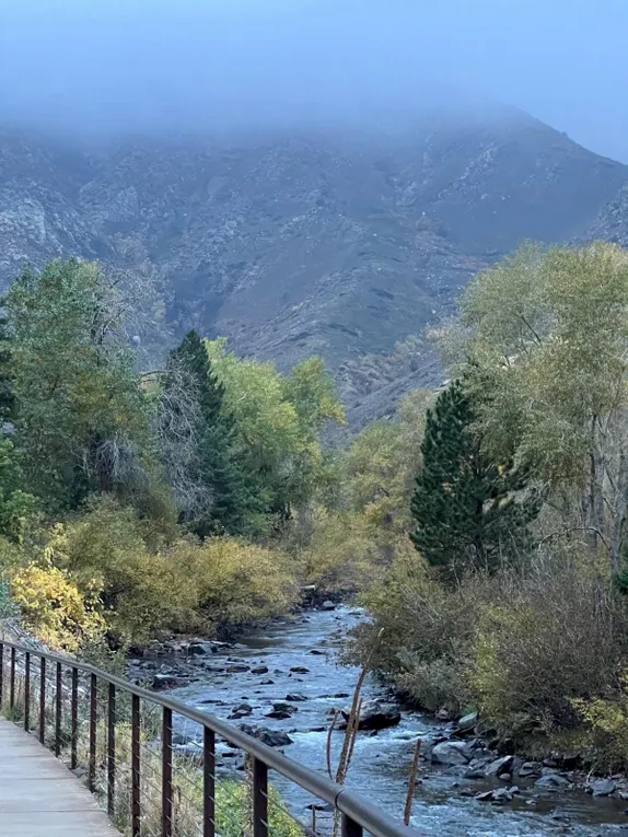 What's Happening in Golden - Monday, Nov. 4th, 2024