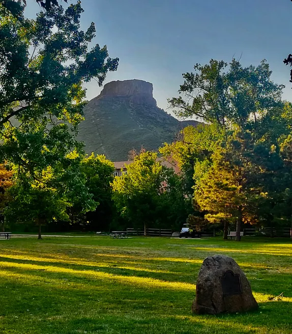 This Week's Petition Signing Events