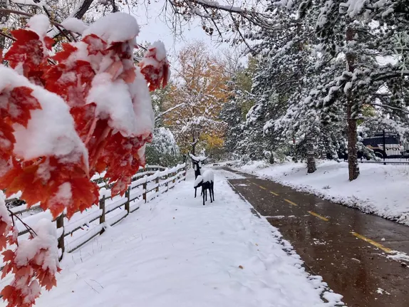 What's Happening in Golden - Saturday, Nov. 9th, 2024