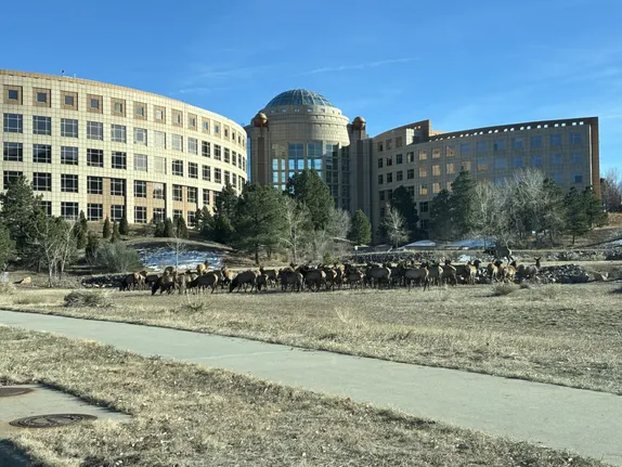 What's Happening in Golden - Thursday, Dec. 5th, 2024