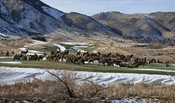 What's Happening in Golden - Tuesday, Dec. 17th, 2024