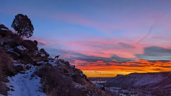 Puzzle: Sunrise with Lucy