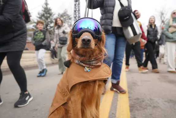 What's Happening in Golden - Sunday, Feb. 9th, 2025