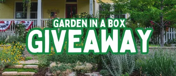 Win a Garden in a Box