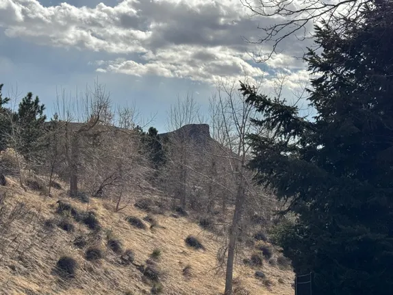 What's Happening in Golden - Thursday, Feb. 6th, 2025