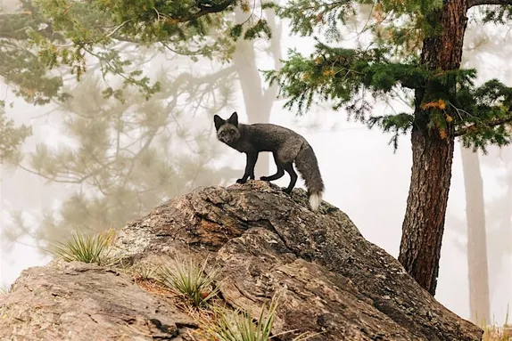 6:30PM My Spooky Valentine @ the Boettcher Mansion