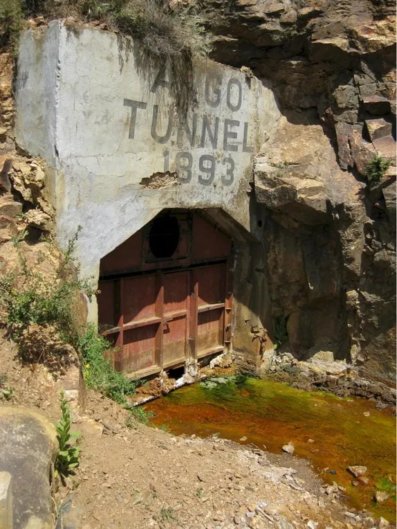 It kills the fish, but it's safe to drink!