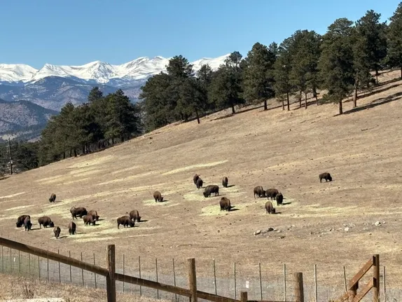 What's Happening in Golden - Sunday, Mar. 2nd, 2025