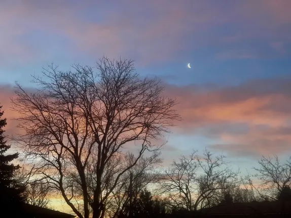 What's Happening in Golden - Thursday, Mar. 27th, 2025