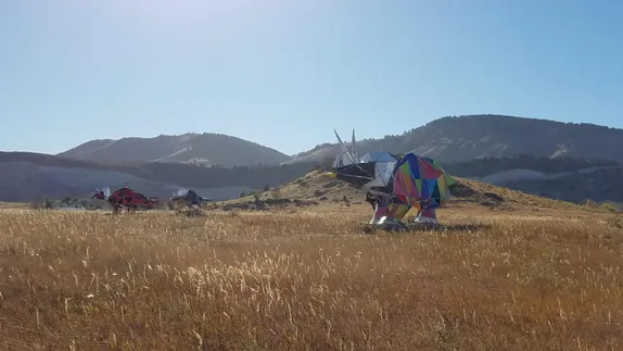 Dinosaur Discoveries