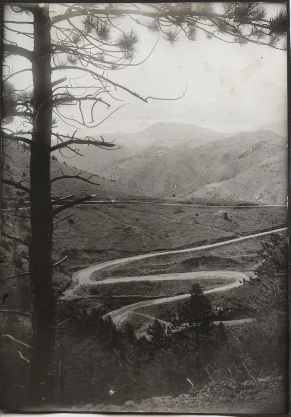 Not Their Brightest Idea