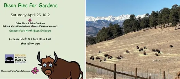 10AM-2PM Bison Pies for Gardens @ Genesee Park North Bison Pasture