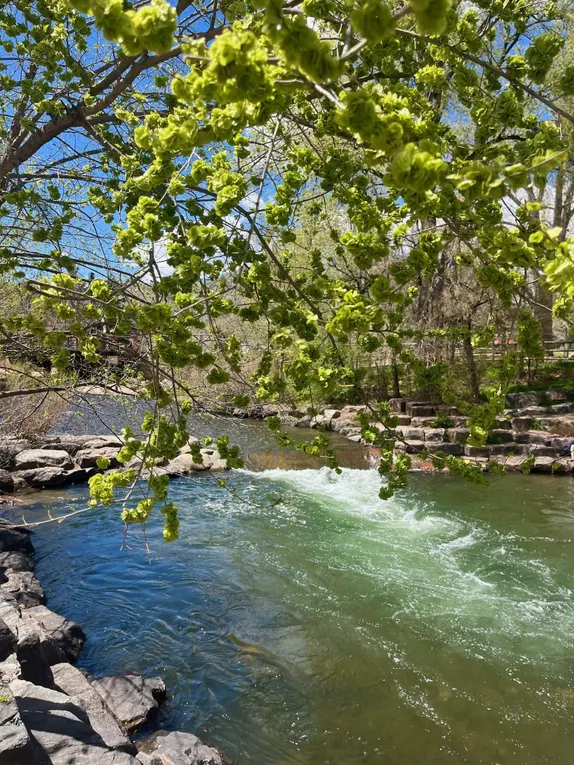 What's Happening in Golden - Tuesday, Apr. 22nd, 2025