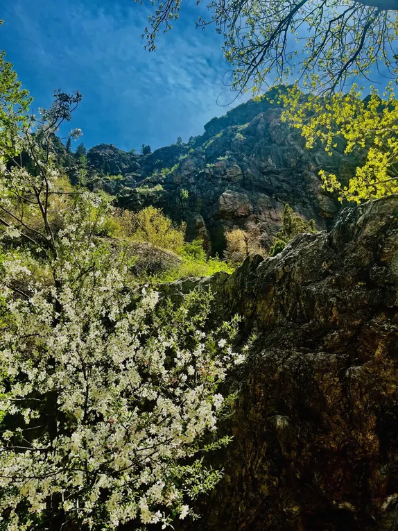 What's Happening in Golden - Thursday, May. 1st, 2025