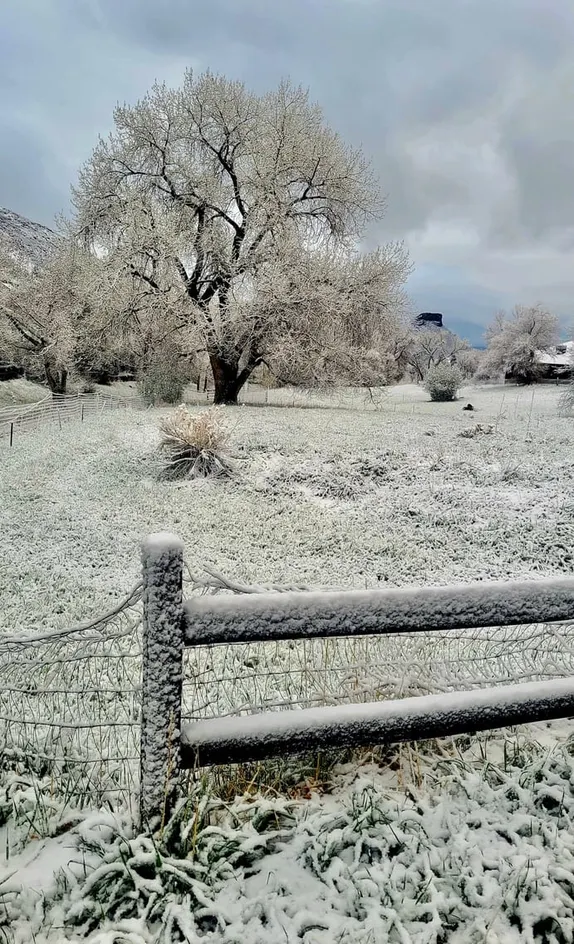 What's Happening in Golden - Friday, Apr. 18th, 2025