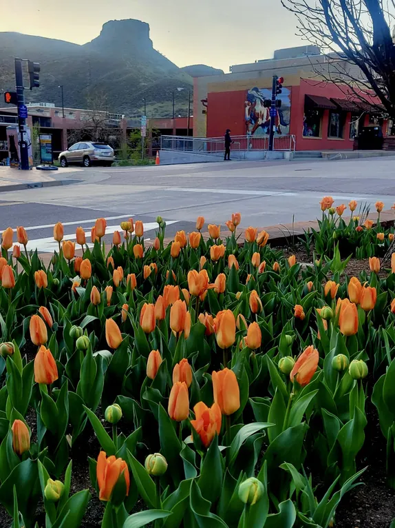 What's Happening in Golden - Thursday, Apr. 17th, 2025