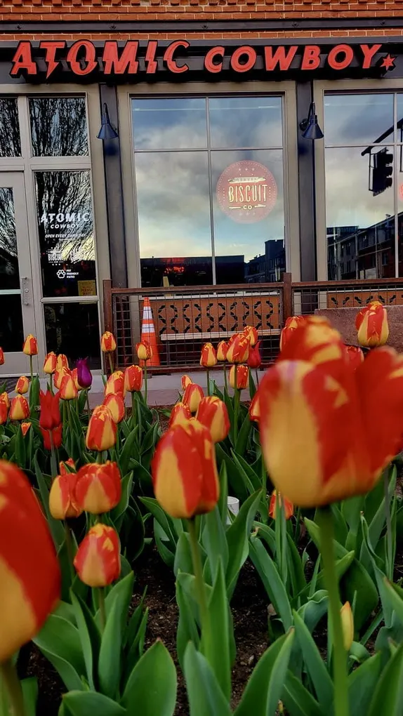 What's Happening in Golden - Tuesday, Apr. 29th, 2025