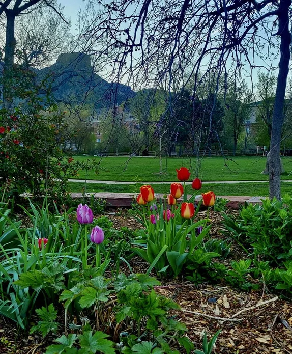 What's Happening in Golden - Thursday, Apr. 24th, 2025