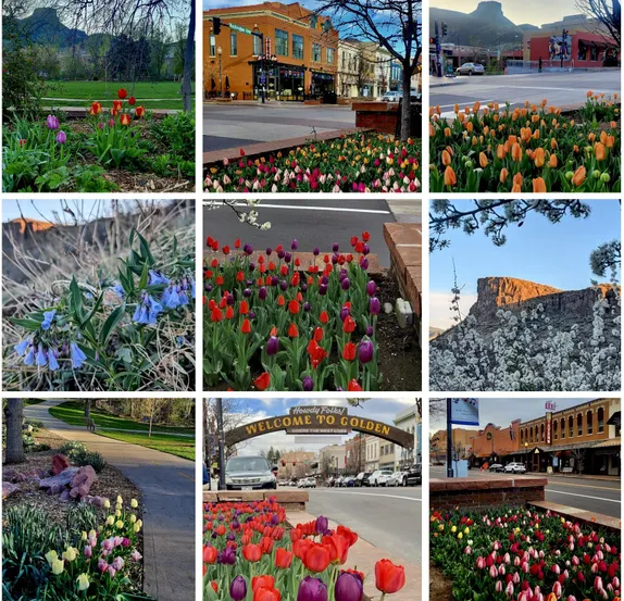 The Changing Face of Motherhood