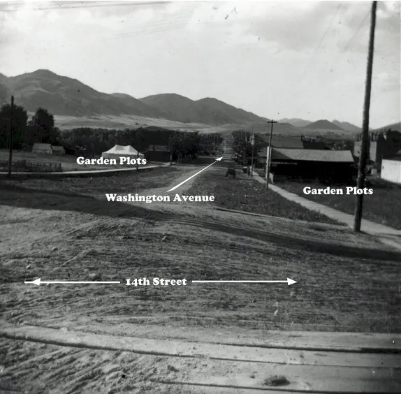 In Times of Stress, Grow Food