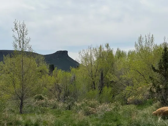 What's Happening in Golden - Tuesday, May. 6th, 2025