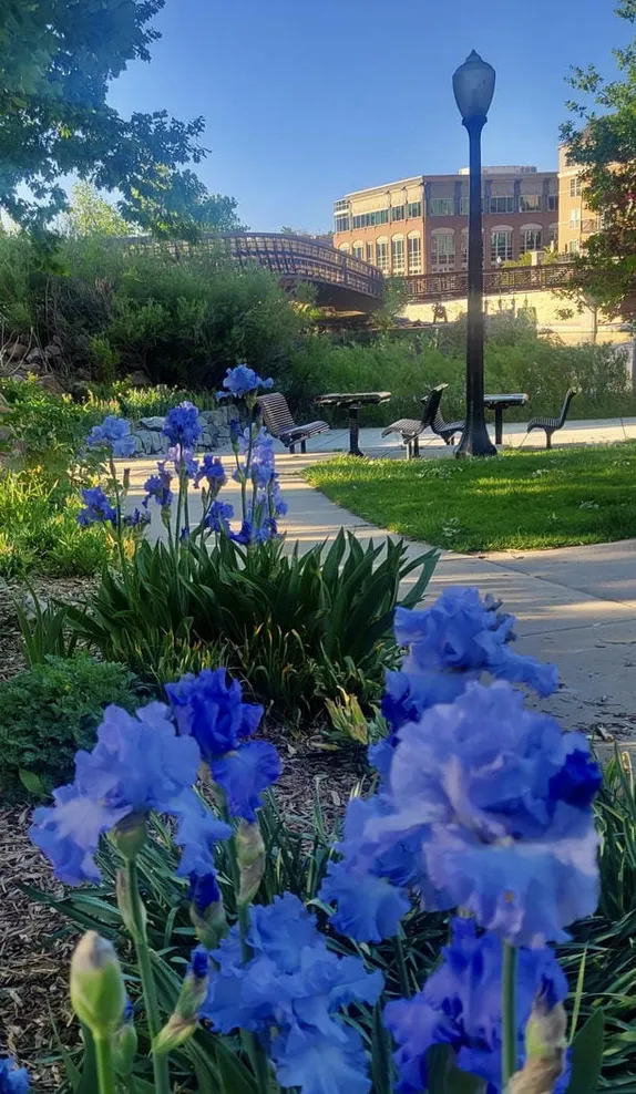 What's Happening in Golden - Wednesday, May. 21st, 2025