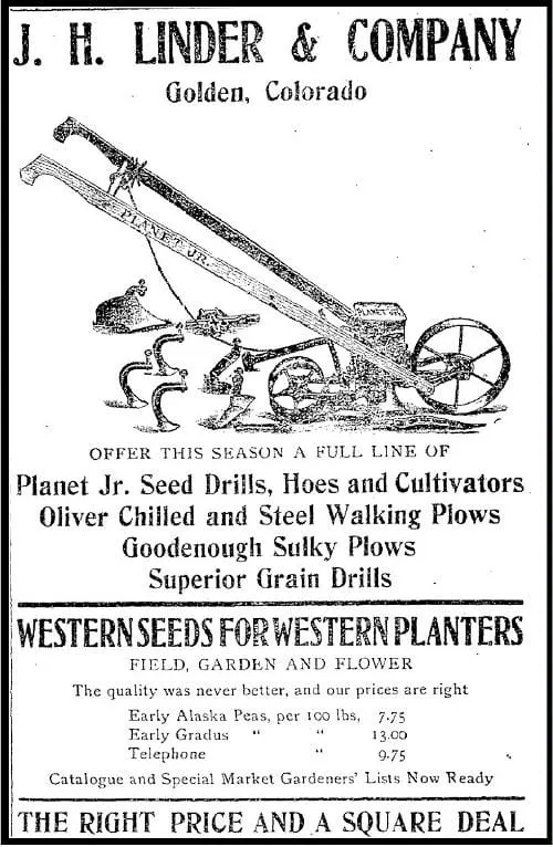 Gardening Inspiration and Two Cautionary Tales