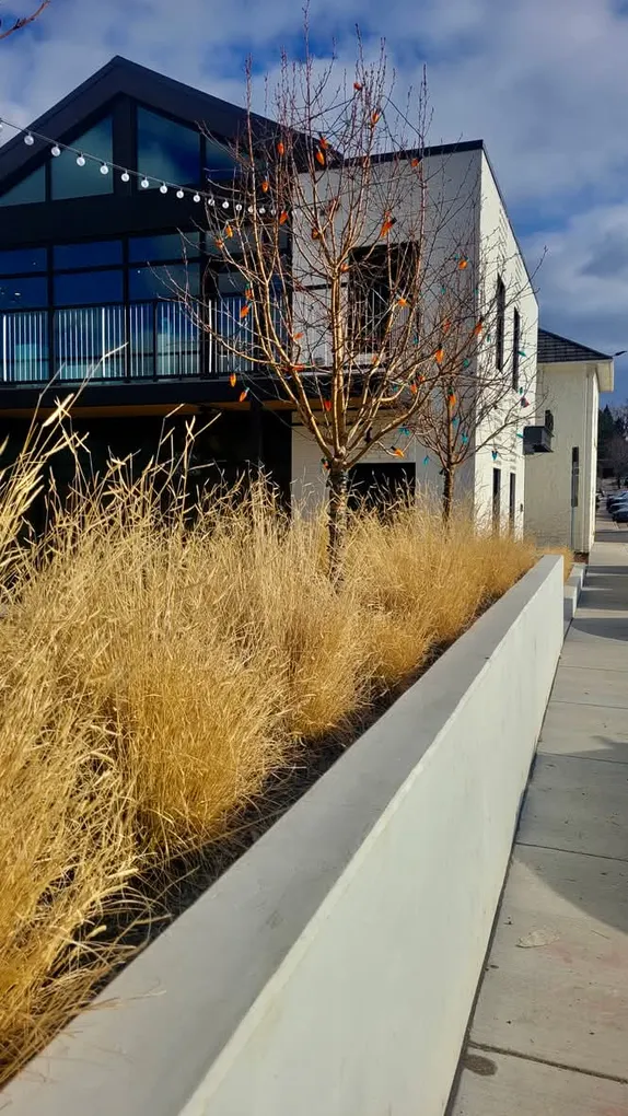 10AM-12PM Wearable Art - Create Your Own Hand-Dyed Scarf @ Foothills Art Center - Astor House