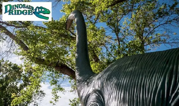 9-11AM Walk with a Geologist @ Dinosaur Ridge