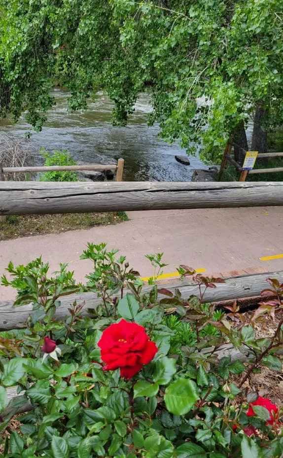 What's Happening in Golden - Sunday, Jun. 8th, 2025