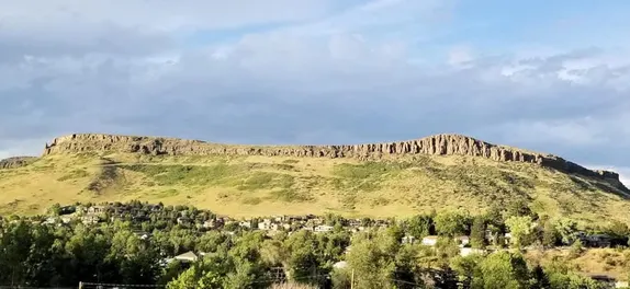 8:30AM - 1PM North Table Mountain Botany Hike
