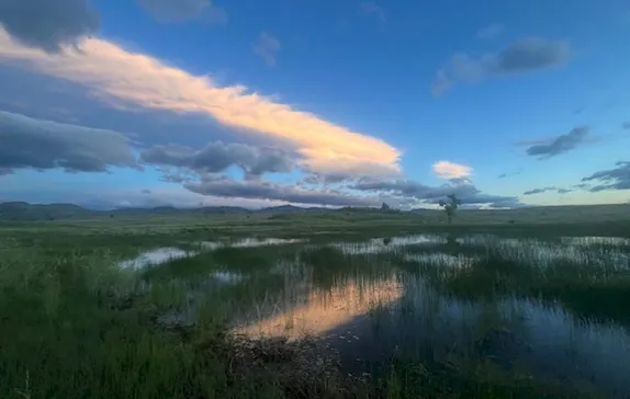 8:30-10:30AM South Table Mountain Hike