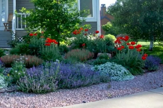 6:30-8PM Waterwise Yard Seminar - Sustainable High Altitude Gardening with Colorado Native Plants (Virtual)